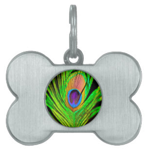 Neon Färg Peacock Feather Namnbricka Husdjur