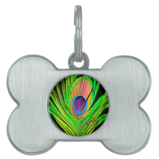 Neon Färg Peacock Feather Namnbricka Husdjur (Framsidan)