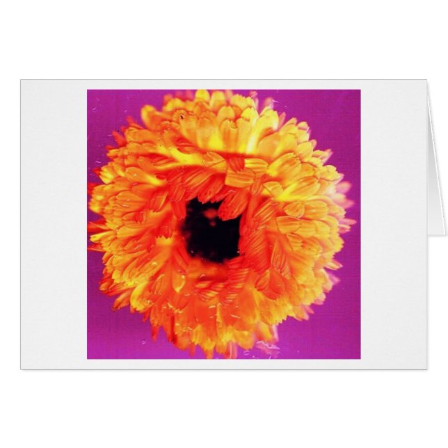 NEON FIORI HÄLSNINGSKORT (Framsidan Horizontal)