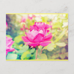 Neon Garden Dreams Vykort