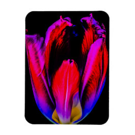 Neon Glöd Tulpan Magnet
