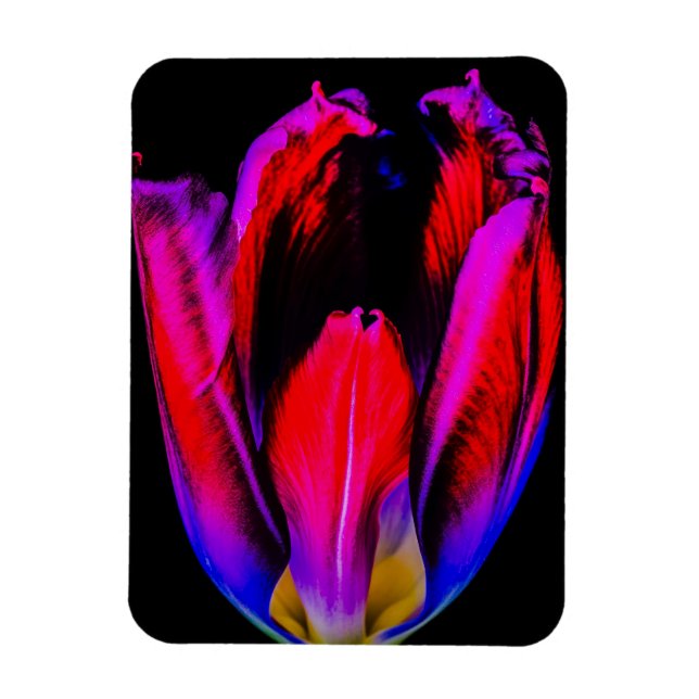 Neon Glöd Tulpan Magnet (Vertikal)
