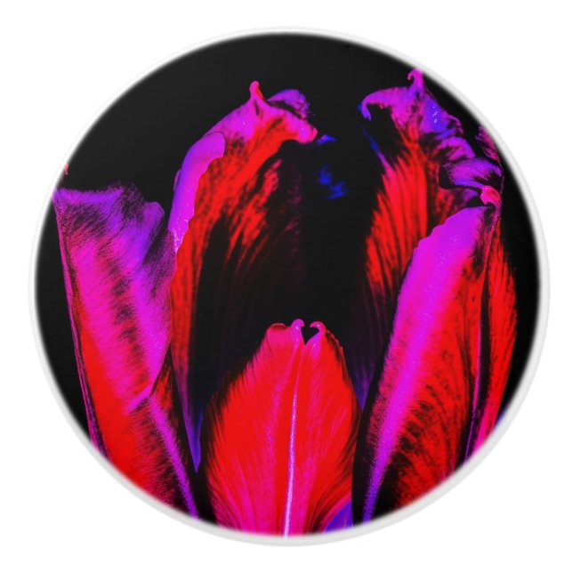 Neon Glow Tulip Knopp (Framsidan)