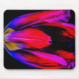 Neon Glow Tulip Musmatta