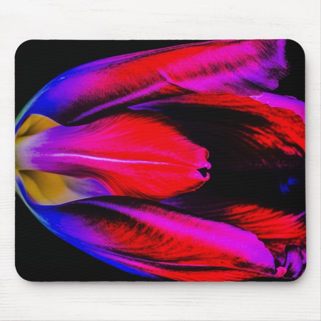 Neon Glow Tulip Musmatta (Framsidan)