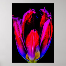 Neon Glow Tulip Poster