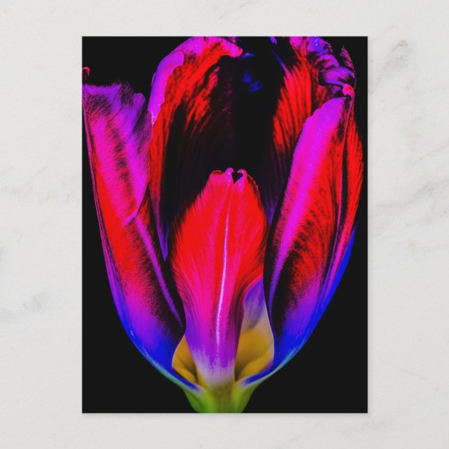 Neon Glow Tulip Vykort (Framsida)