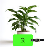 Neon Grönt Bright Colorful Monogram Initial Text Bagagebricka<br><div class="desc">Monogrammad ursprunglig och även personlig information som namn,  adress,  mobilt nummer och e-post som du kan redigera. Designad med tilltalande solid bakgrund i grönt färg kan du byta färg om du vill. Coolans resepresentidé för honom eller henne.</div>