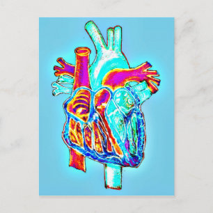 Neon Hand plockade Anatomiskt hjärta Vykort