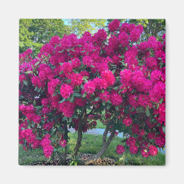 Neon Nature Magnet