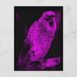 Neon Parrot Vykort