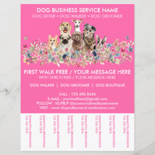 Neon Rosa Hundpromenadtjänst Flyer