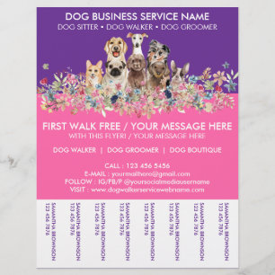 Neon Rosa lila Raser Hundpromenerarservice Reklamblad