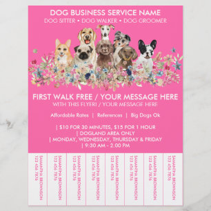 Neon Rosa Reds Dog Walker Budget Biljett Reklamblad