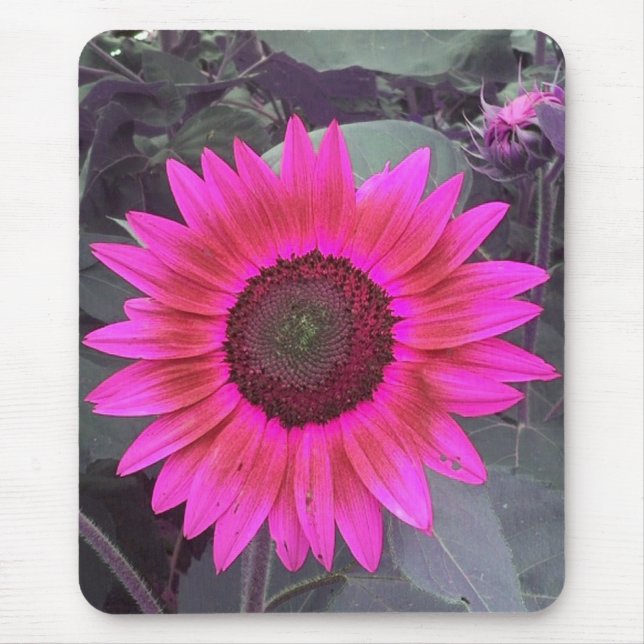 Neon Rosa Solros Mousepad Musmatta (Framsidan)
