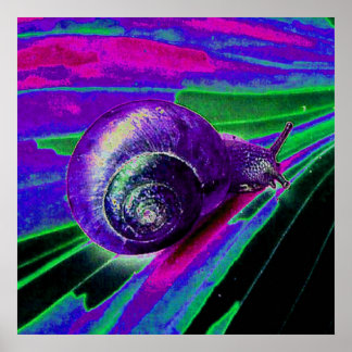 Neon snigel poster
