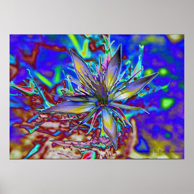 Neon Star Poster (Framsidan)