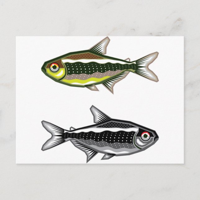 Neon Tetra aquarium fish Vykort (Framsida)