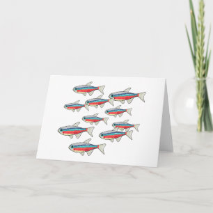 Neon Tetra Kort