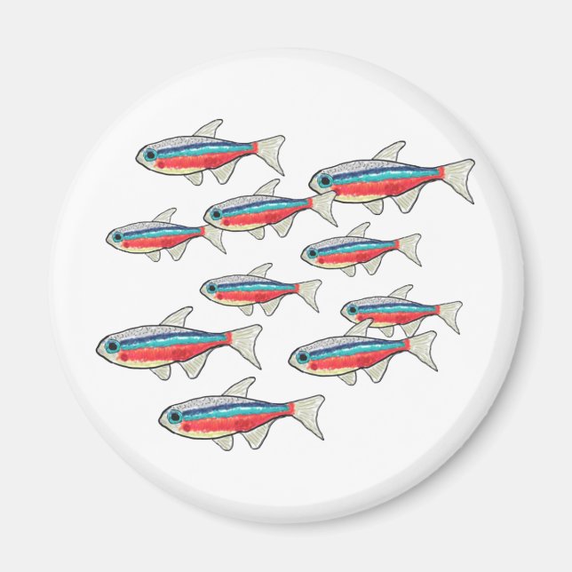 Neon Tetra Magnet (Framsidan)