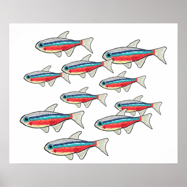 Neon Tetra Poster (Framsidan)