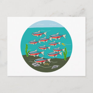 Neon Tetra Vykort
