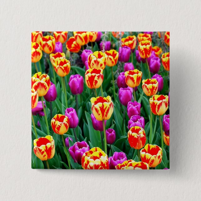 Neon Tulip Pin Knapp (Framsida)
