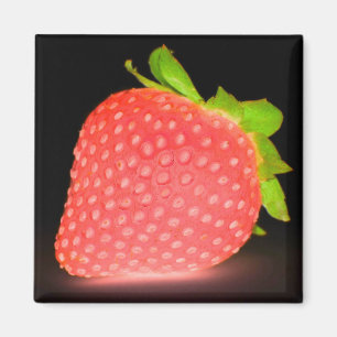 Neon-utseglad svart jordgubbsmagnet magnet