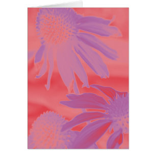 Neonglöd för Echinacea #9 Hälsningskort