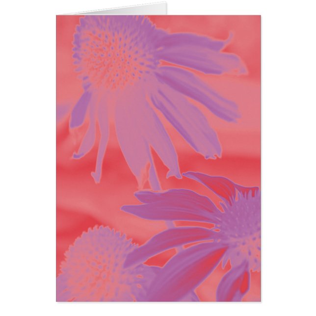 Neonglöd för Echinacea #9 Hälsningskort (Framsidan)