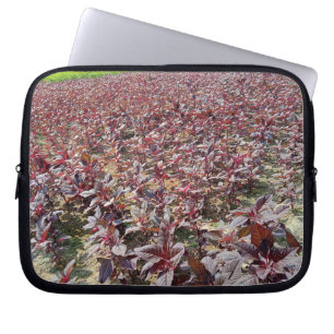 Neoprene Laptop sleeve 10 tum
