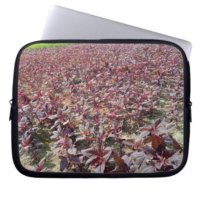 Neoprene Laptop sleeve 10 tum (Framsidan)
