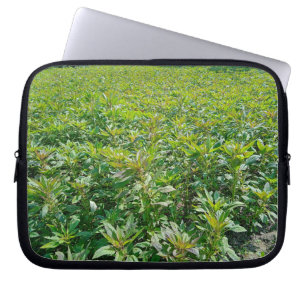 Neoprene Laptop sleeve 10 tum
