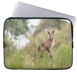 Neoprene Laptop sleeve 13 tum