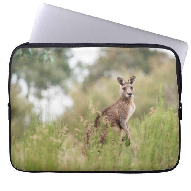 Neoprene Laptop sleeve 13 tum (Framsidan)
