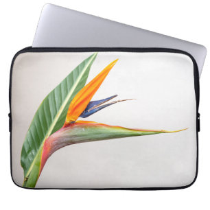 Neoprene Laptop sleeve 13 tum