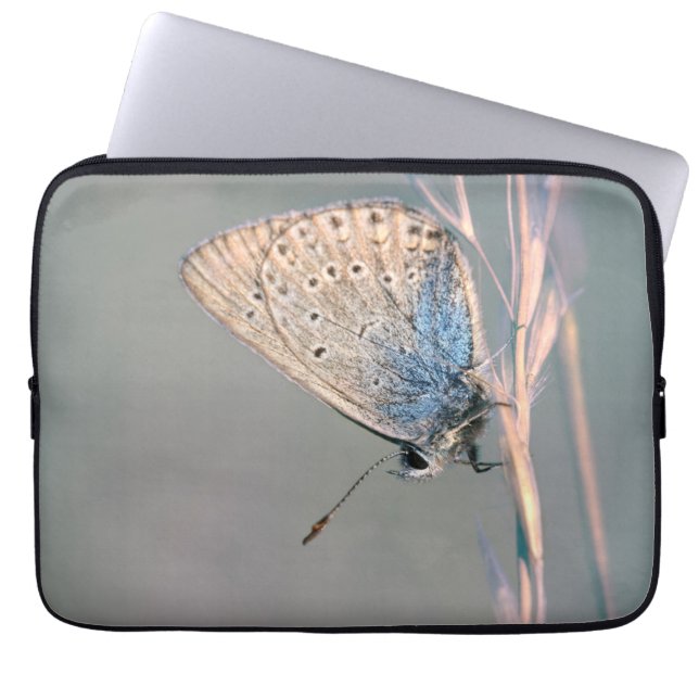 Neoprene Laptop sleeve 13 tum (Framsidan)