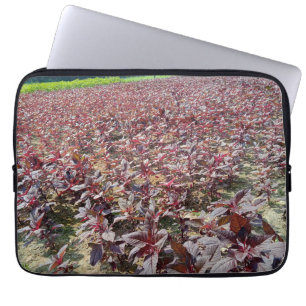 Neoprene Laptop sleeve 13 tum