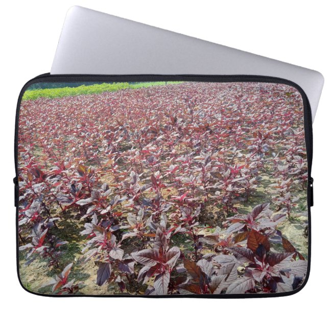 Neoprene Laptop sleeve 13 tum (Framsidan)