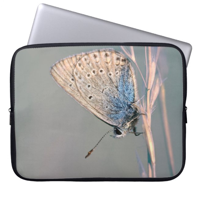 Neoprene Laptop sleeve 15 tum (Framsidan)