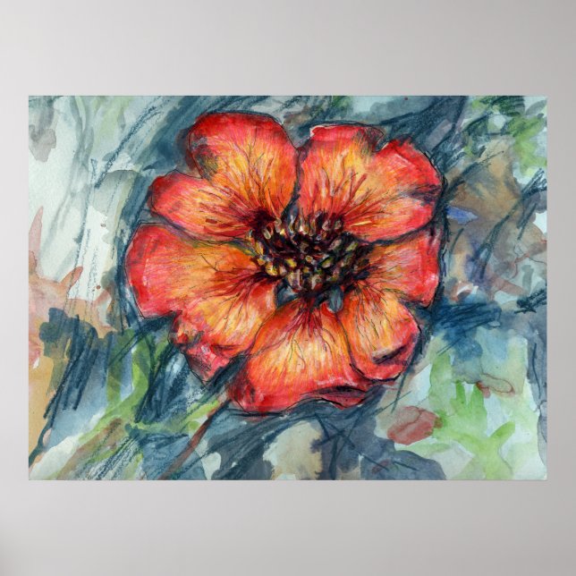 Nepal Cinquefoil Flower Poster (Framsidan)