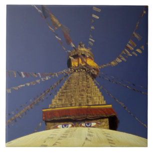 Nepal, Katmandu. Under böneflaggor, vaksamma Kakelplatta