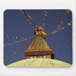 Nepal, Katmandu. Under böneflaggor, vaksamma Musmatta