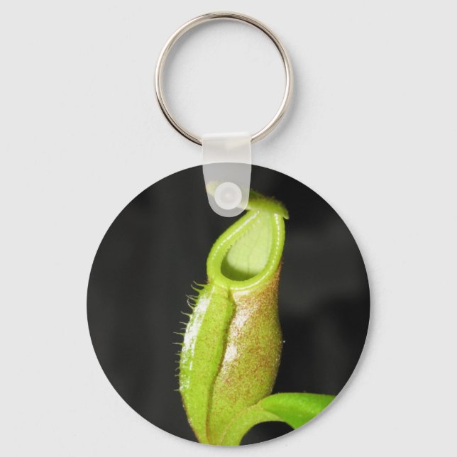 Nepenthes diatas nyckelring (Framsida)