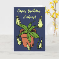 Nepenthes Kannväxt Illustration Personlig