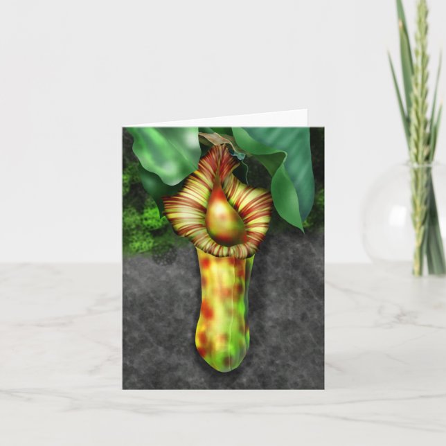 Nepenthes, Pitcher Plant Illustration Anteckningskort (Framsida)