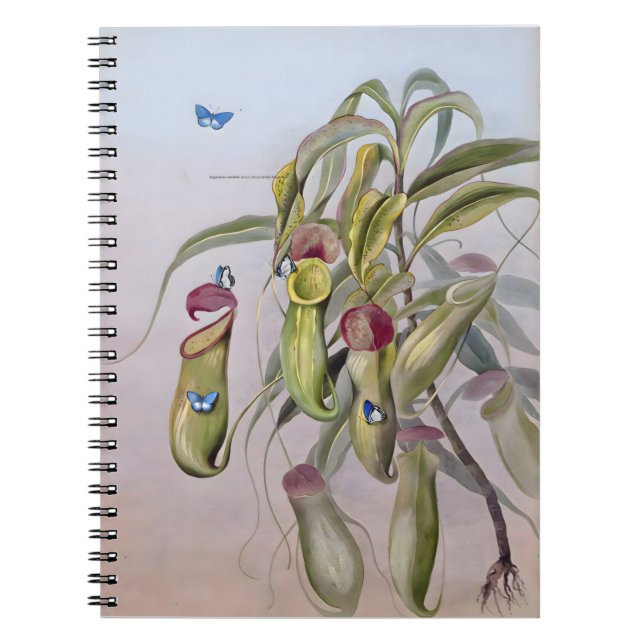Nepenthes Plant Teckning, årsdag Anteckningsbok (Framsidan)