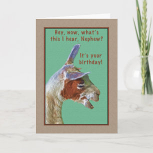 Nephew, födelsedag, Laugha Llama Card Kort