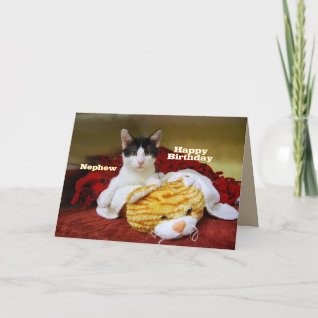Nephew Grattis på födelsedagen Kitten med Leksak T Kort (Framsida)