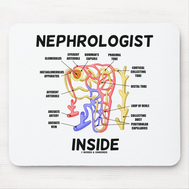Nephrolog Inside Kidney Nephron Musmatta (Framsidan)